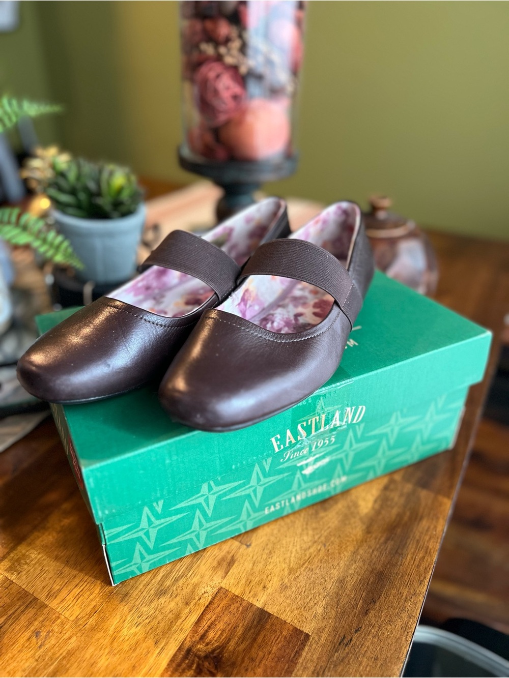 Eastland Sable Brown Leather Flats with Elastic Strap